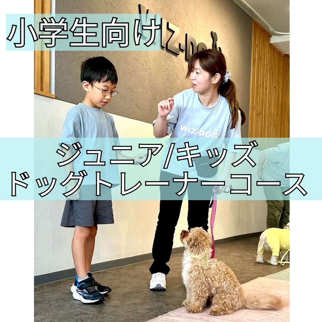 Junior Dog Trainer/Kids Dog Trainerコース