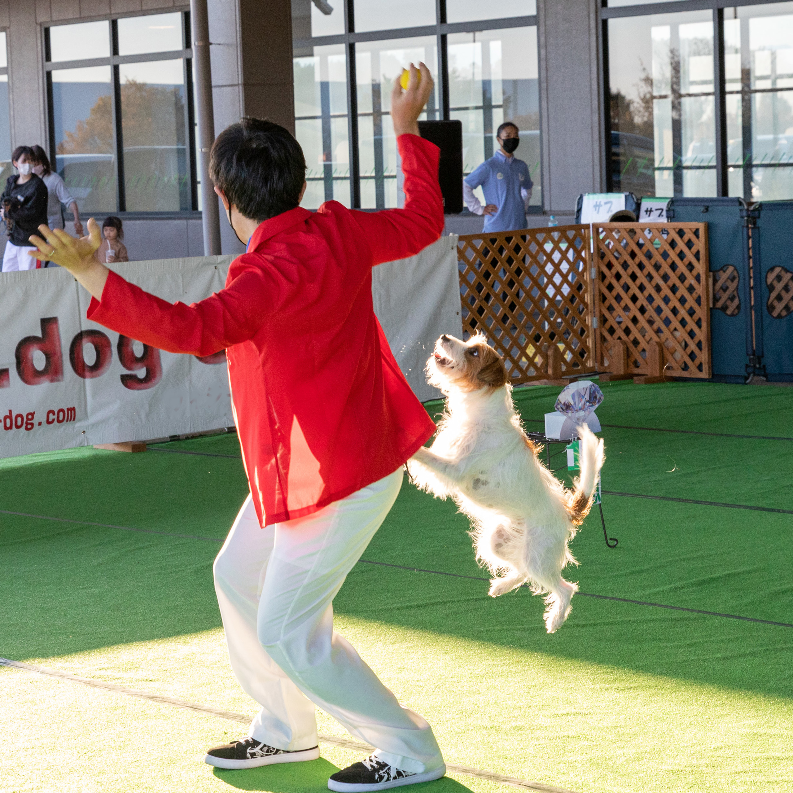 �����C��